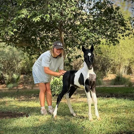 Bed and Breakfast La Vie En Rose - Horses & Dogs House Ait Hamid Экстерьер фото